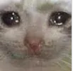 sadcat sadcat