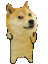 doge_dance3 Discord Emoji