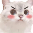 Cat Angry catangry Discord Emoji