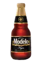 modelonegro