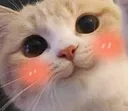 cat_kawaii Discord Emoji