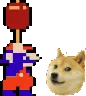 D3_dogeBONKmario