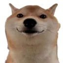 D5_nondogeOKLOL