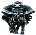 monkeridedonk monkeridedonk