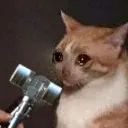 malletcatcry