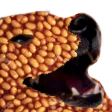 beanbork