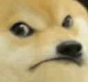 Doge Mad Discord Emoji