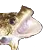 frogscream