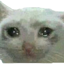sadcat Discord emoji