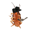roach