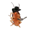 roach