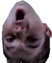 ReversePog Discord Emoji