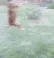 magicdog magicdog