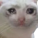 crying_cat