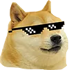 CS_Cool CS_Cool