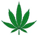 Marijuana