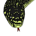 1SnekSprinkles