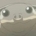 tonchan