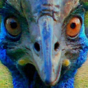watchingfc3 Discord emoji