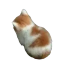 Cat1 cat1 Discord Emoji