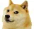 doge