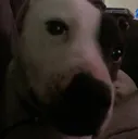 lennox5
