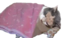 blankymon