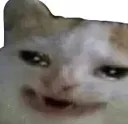 EXCUSEMESIR EXCUSEMESIR