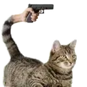 guncat