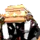ripghana ripghana