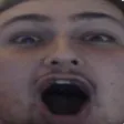 greyfoPog