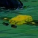 spon_ded