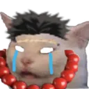 Gyomei_Catto Discord Emoji
