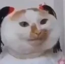 him