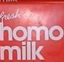 Homo