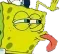 f_sponge_lick