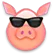 coolpig