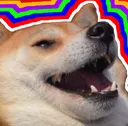 kekdog