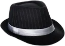 fedora