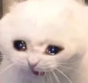 c_CRY