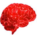rainbowbrain