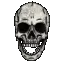 Skull Skull