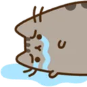 sadpusheen