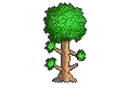 VSeTerraria