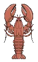 Lobster_Lob