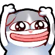 catsenHype