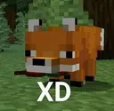 xd