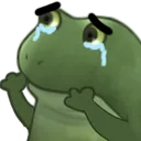 Froge Cry Worry Discord Emoji