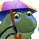 FrogeSadRain