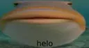 hello